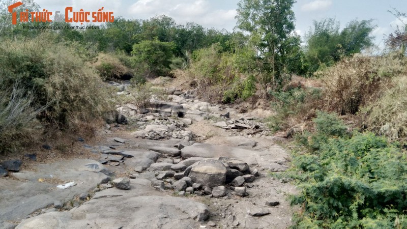 Binh Thuan: Suoi kho, gieng can nguoi dan phai mua nuoc gia cao