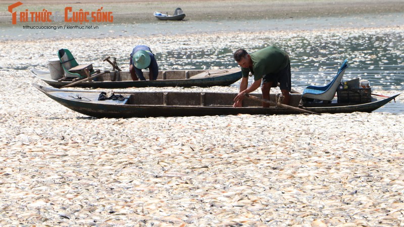 Cong an vao cuoc vu ca chet noi trang ho Song May, Dong Nai