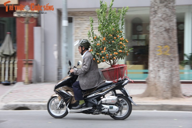 Chum anh: Khong khi chieu 30 Tet Dinh Dau o Ha Noi-Hinh-7