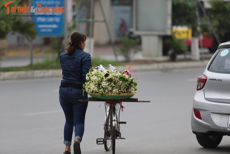 Mua hoa buoi thom nuc len loi khap goc pho Ha Noi-Hinh-2