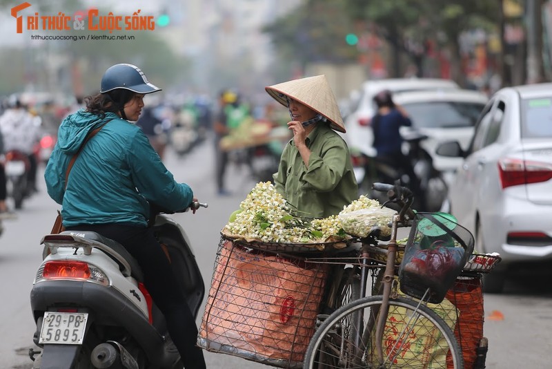 Mua hoa buoi thom nuc len loi khap goc pho Ha Noi-Hinh-6