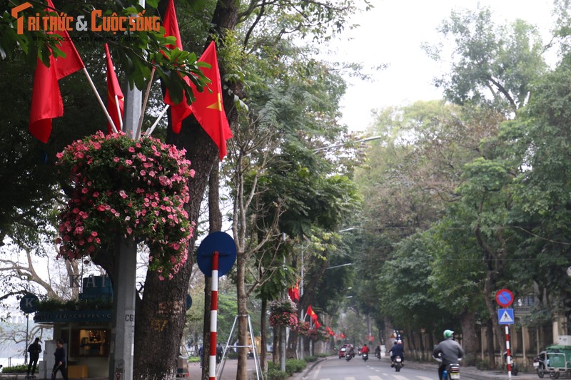 Duong pho Ha Noi rop co hoa tung bung chao don nam moi 2020-Hinh-6