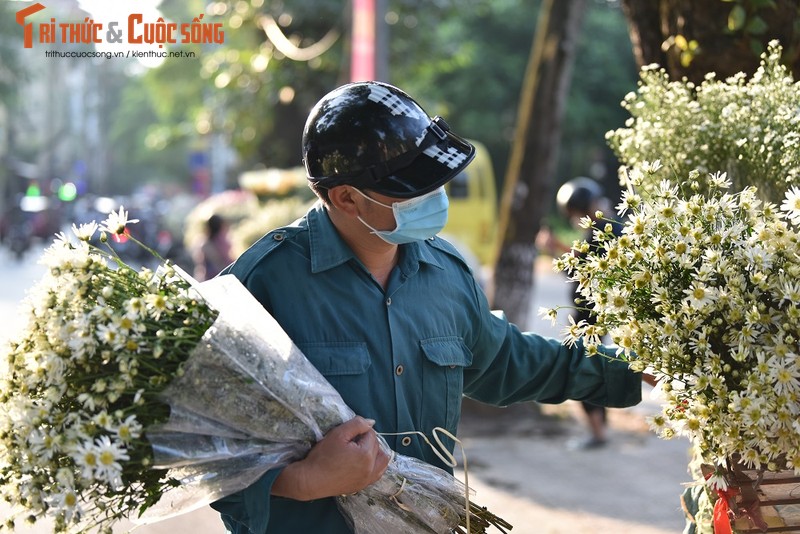 Cuc hoa mi xuong pho, gioi tre tranh thu 