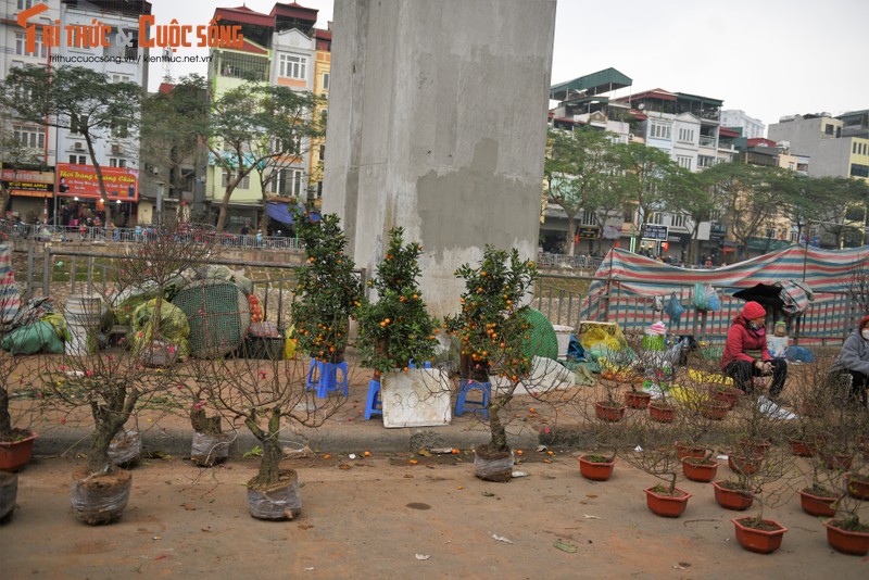 Dao, quat xa hang gia soc tieu thuong than: “Nam nay mat Tet“-Hinh-12