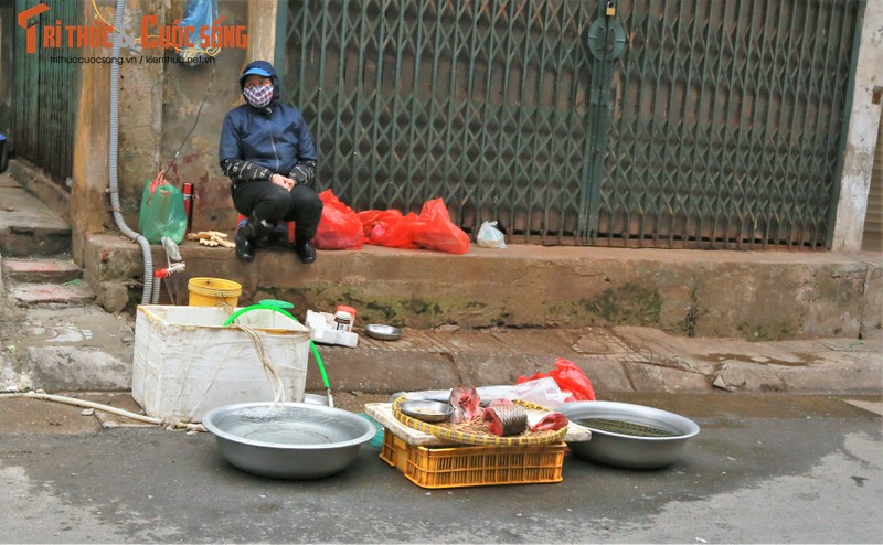 Cho dan sinh dau nam: Khach mua vang hoe, chu hang ngu gat-Hinh-9