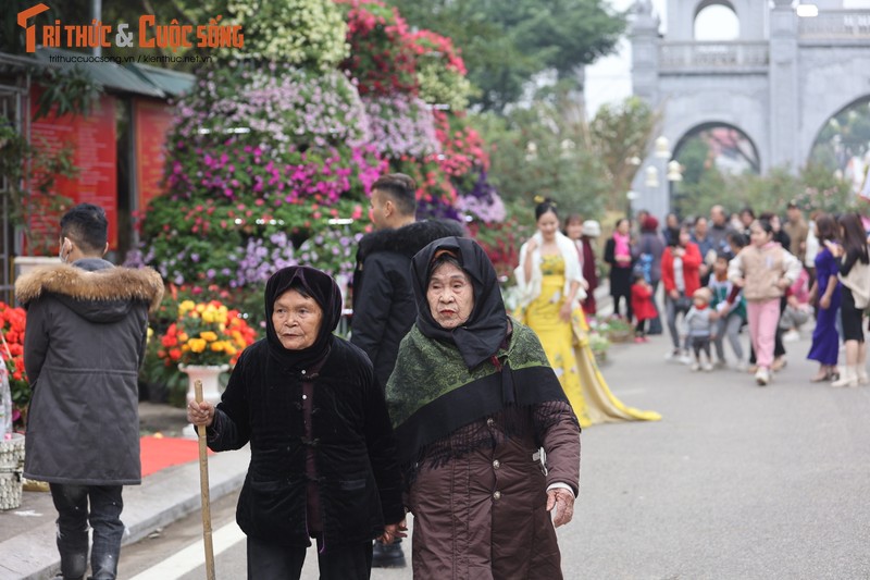 Khai mac Festival hoa Me Linh 2022, tung bung huong sac-Hinh-5