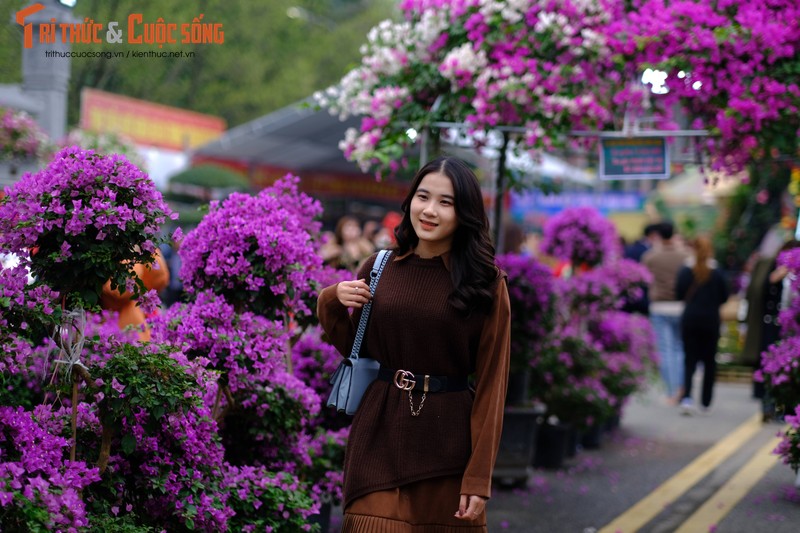Khai mac Festival hoa Me Linh 2022, tung bung huong sac-Hinh-9