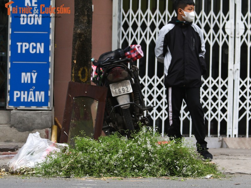 Tam nuoc la mui gia, mot phong tuc dep ngay Tet-Hinh-3