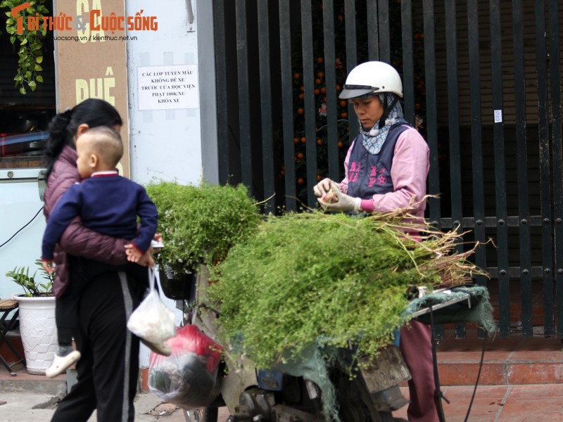 Tam nuoc la mui gia, mot phong tuc dep ngay Tet-Hinh-6