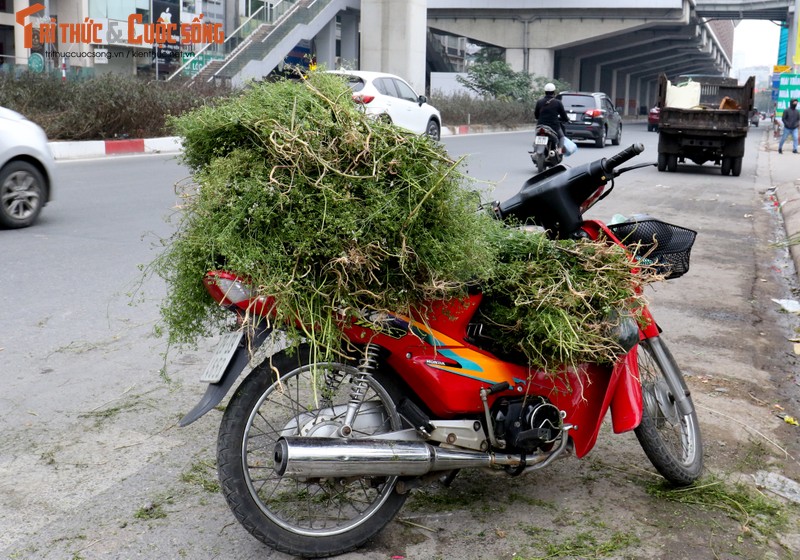 Tam nuoc la mui gia, mot phong tuc dep ngay Tet