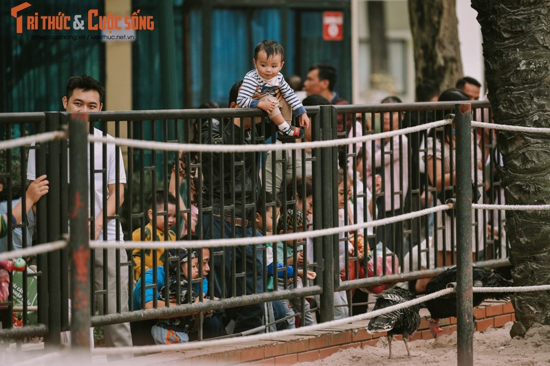 Nguoi Ha Noi mo tiec BBQ trong cong vien dip nghi Tet duong lich-Hinh-7