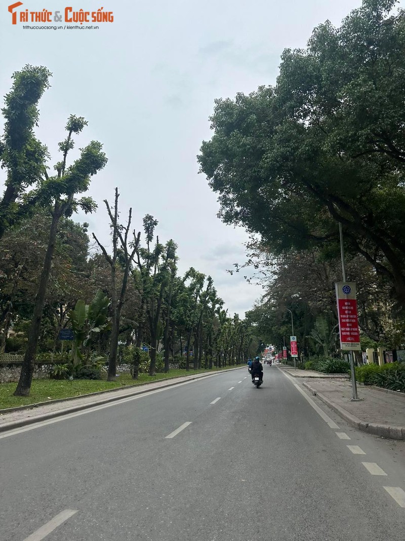 Sang 30 Tet, Ha Noi cham rai, binh yen den la-Hinh-7