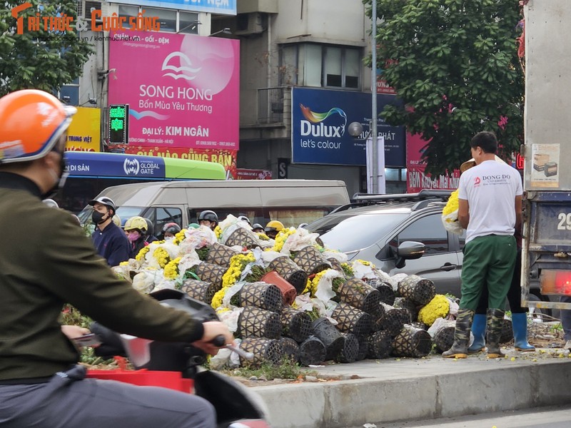 Can canh diem rac “chui” bien thanh vuon hoa san sang don Tet-Hinh-3