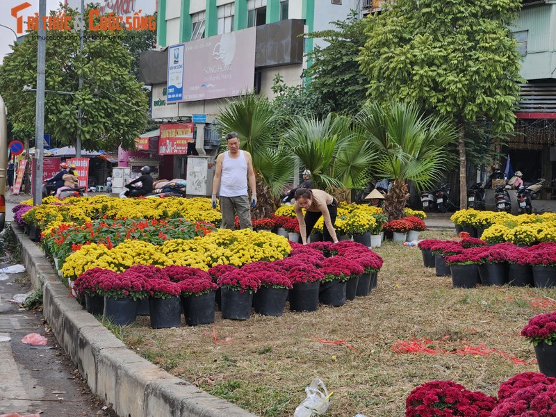 Can canh diem rac “chui” bien thanh vuon hoa san sang don Tet-Hinh-6