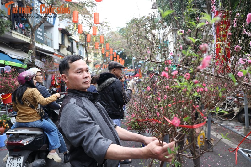 Cho hoa co nhat Ha Noi dong duc nguoi xem, suc mua han che-Hinh-4