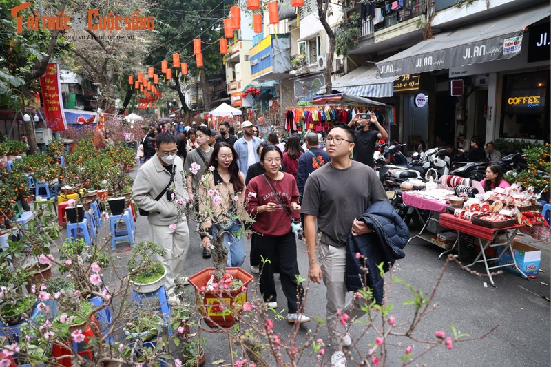 Cho hoa co nhat Ha Noi dong duc nguoi xem, suc mua han che-Hinh-6