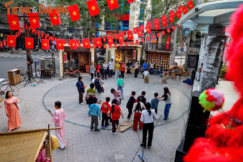 Ha Noi: Lo dien diem du xuan moi tai Dao Ngoc - Ngu Xa-Hinh-9