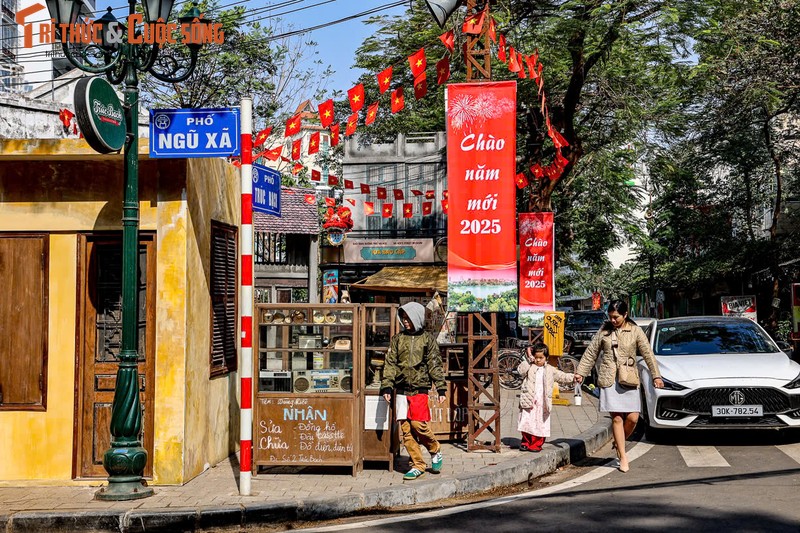 Ha Noi: Lo dien diem du xuan moi tai Dao Ngoc - Ngu Xa