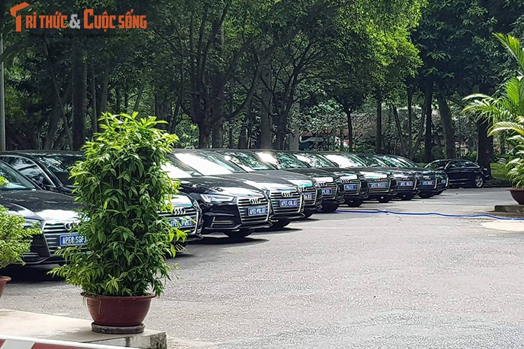 Can canh 150 xe sang Audi Apec 2017 tai Sai Gon-Hinh-10