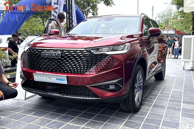 Haval H6 HEV gia 1,096 ty tai Viet Nam, 