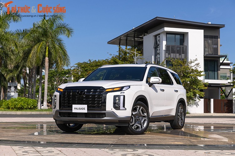 Chi tiet Hyundai Palisade tai Viet Nam, cao nhat gan 1,6 ty dong-Hinh-12