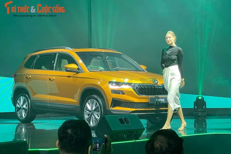 Chi tiet Karoq va Kodiaq vua ra mat Viet Nam, tu 999 trieu dong-Hinh-2