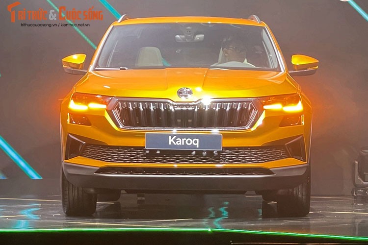 Chi tiet Karoq va Kodiaq vua ra mat Viet Nam, tu 999 trieu dong-Hinh-3