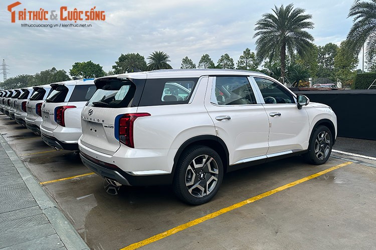 Can canh dan Hyundai Palisade lap rap Viet Nam xuat khau Thai Lan-Hinh-6