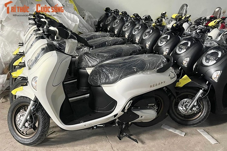 Can canh Honda Scoopy 2025 