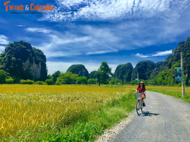 Chang phai len Tay Bac, gioi tre san lua chin cuc dep tai dong bang