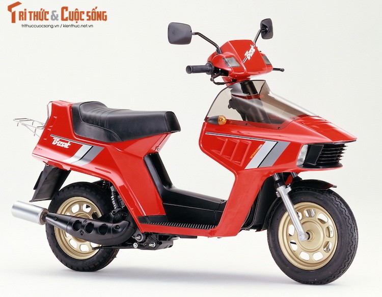 Diem mat 10 xe may Honda 