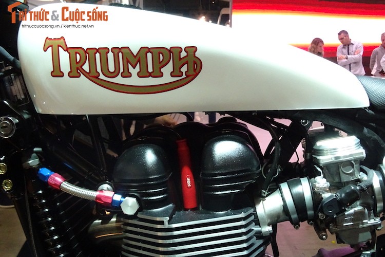 Triumph Scrambler “hang thua” chinh hang tu Bonneville T100-Hinh-6