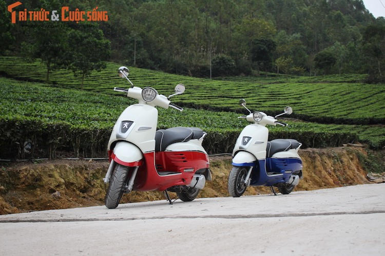 Cam lai tay ga “gia co” Peugeot Django 125 tai Ha Noi-Hinh-22