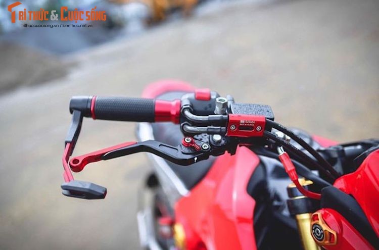 Dan Viet do “xe ruoi” Honda MSX125 thanh Ducati khung-Hinh-6