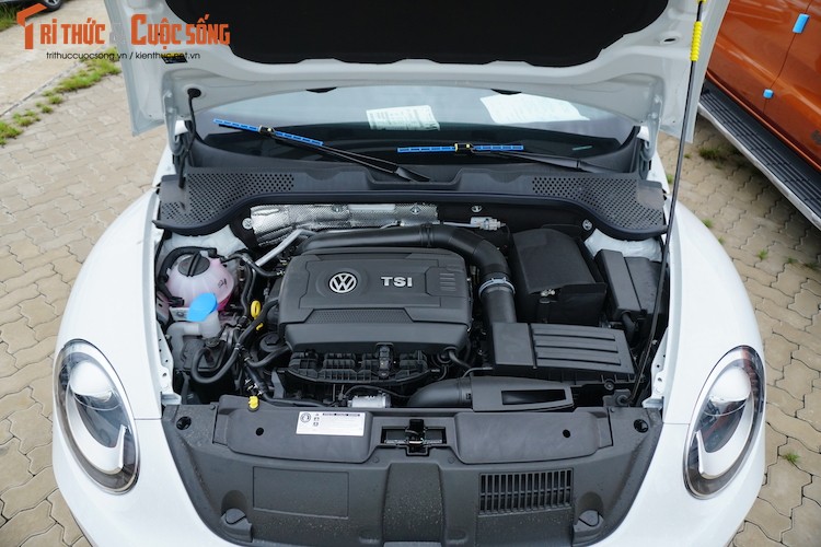 Volkswagen Beetle Dune gia 1,5 ty “hang xin” tai VN-Hinh-8