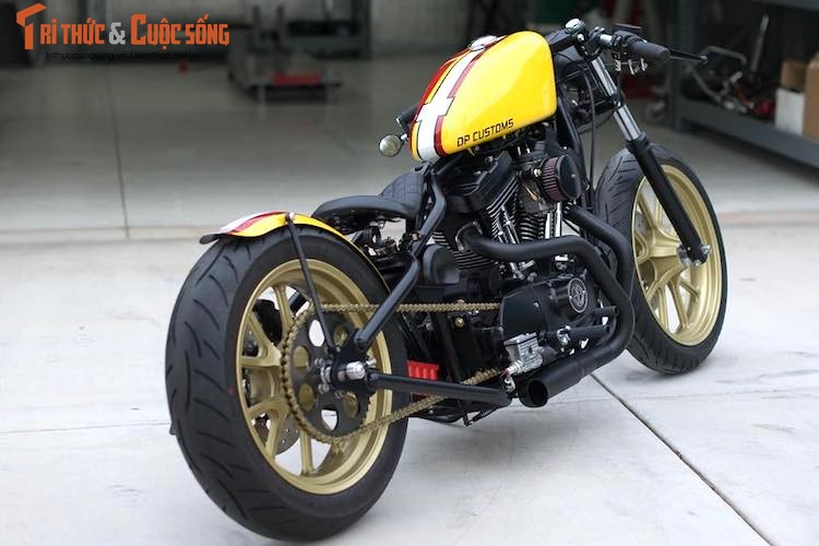 Dan choi Viet “thua” moto Harley Bobber 800 trieu tu My-Hinh-11