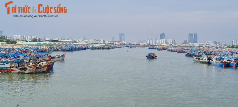 Da Nang: Au thuyen Tho Quang truoc gio sieu bao Noru do bo-Hinh-14