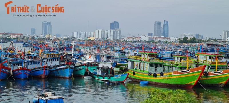 Da Nang: Au thuyen Tho Quang truoc gio sieu bao Noru do bo-Hinh-7