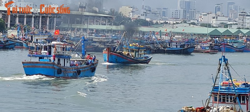 Da Nang: Au thuyen Tho Quang truoc gio sieu bao Noru do bo-Hinh-8