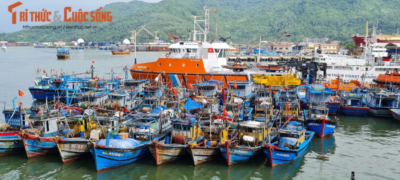 Da Nang: Au thuyen Tho Quang truoc gio sieu bao Noru do bo-Hinh-9