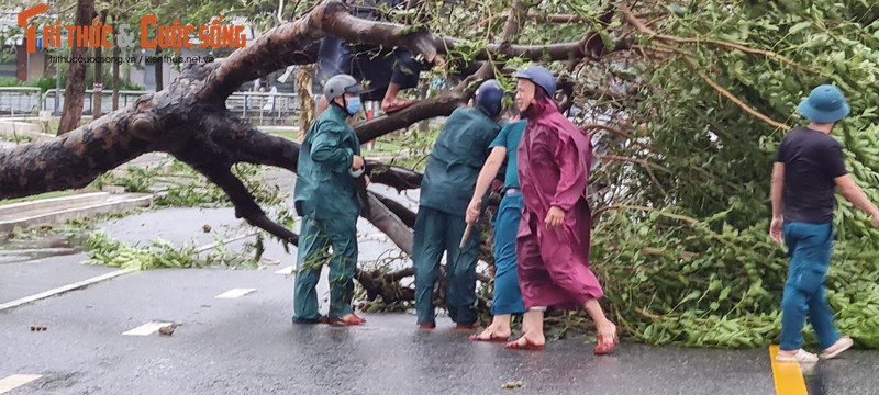 Hinh anh moi nhat tai Da Nang khi bao Noru di qua-Hinh-10