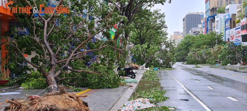 Hinh anh moi nhat tai Da Nang khi bao Noru di qua-Hinh-9