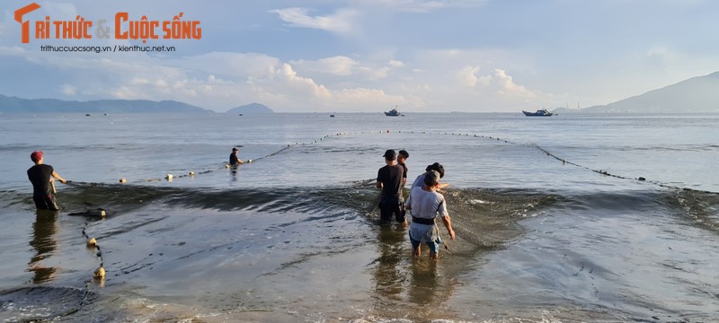 Can canh keo luoi tren bai bien Da Nang luc binh minh-Hinh-3