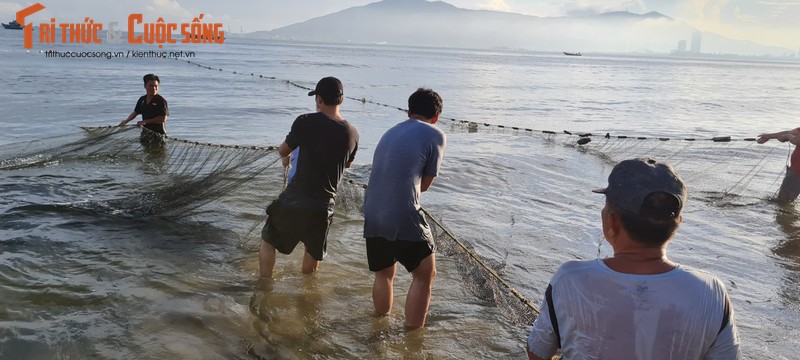 Can canh keo luoi tren bai bien Da Nang luc binh minh-Hinh-8