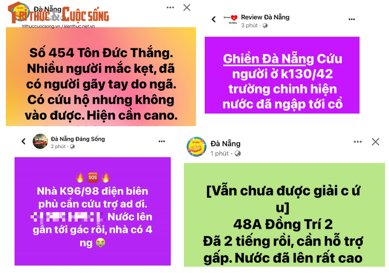 Toan canh Da Nang ngap lut chua tung thay, dan khong kip tro tay-Hinh-7