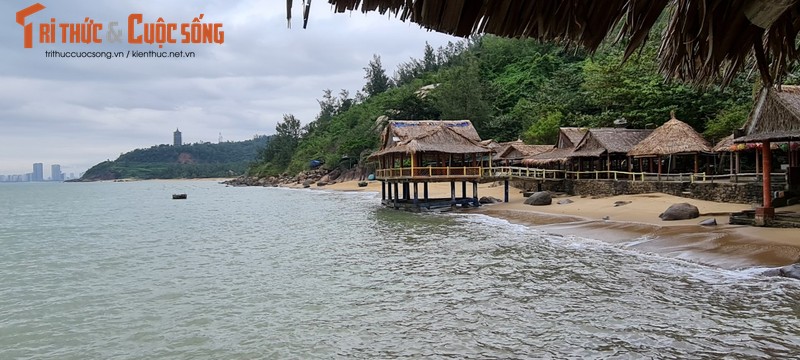 Check in bai bien hoang so tuyet dep duoi chan nui Son Tra-Hinh-12