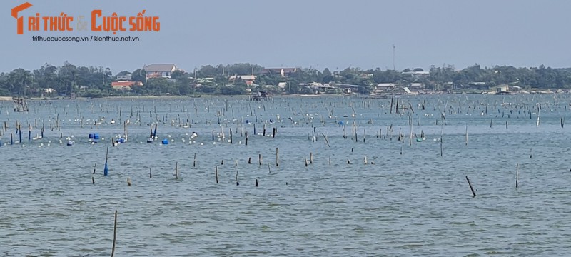 Check in Lang Co - chon “bong lai tien canh” xu Hue-Hinh-10