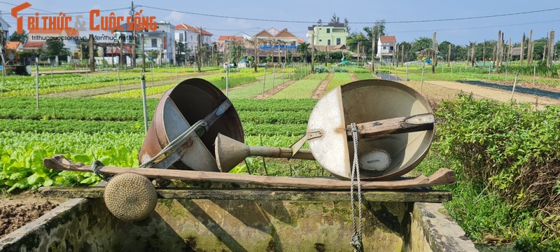 Lang rau Tra Que - diem den thu vi “an tuong nhat Viet Nam“-Hinh-10