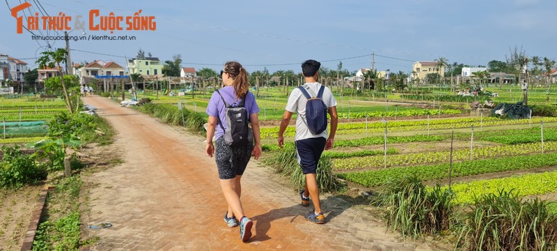 Lang rau Tra Que - diem den thu vi “an tuong nhat Viet Nam“-Hinh-4