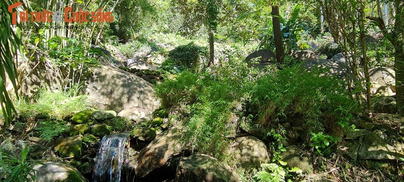 Lac vao “bao tang” tre truc lon nhat mien Trung-Hinh-16